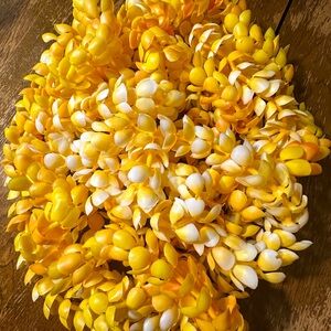 Leis (8 leis) Plumeria Flower Hawaiian